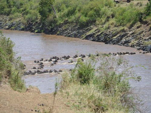 3 Days Joining Daily Departure Masai Mara Cheap Bu
